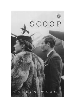 Scoop