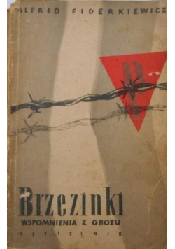 Brzezinki wspomnienia z obozu
