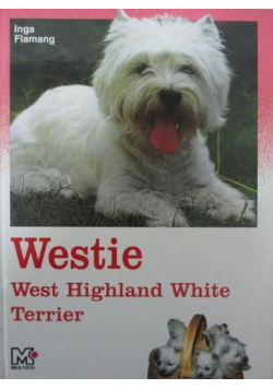 Westie west highland white terrier