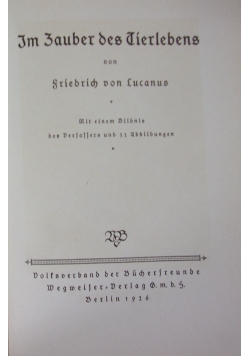 Im Zauber des Trielrebens, 1926r.