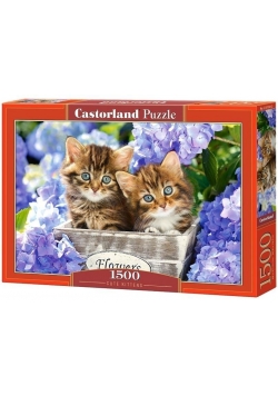 Puzzle 1500 Cute Kittens CASTOR