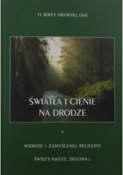 Światła i cienie na drodze