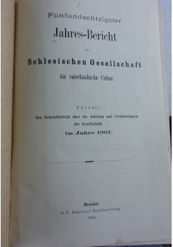 Funfundachtzigster Jahres Bericht, 1908 r.