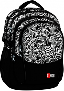 Plecak 4-komorowy Spine-Friendly Zebra