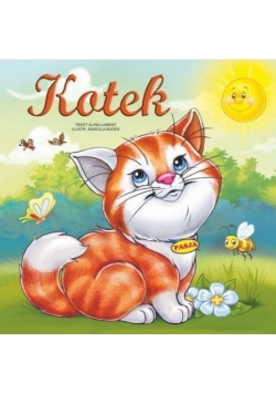 Kotek PASJA