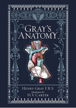 Gray's anatomy