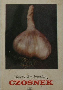 Czosnek