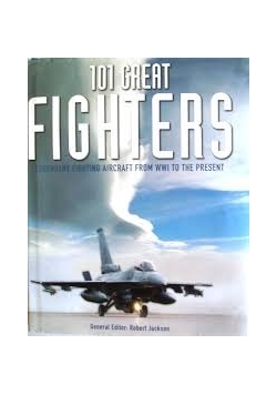 101 great fighters