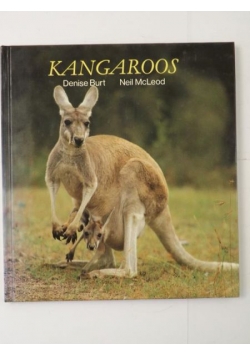 Kangaroos