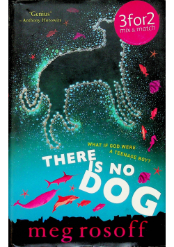 There is no dog