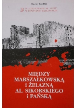 Między Marszałkowską i Żelazną Al. Sikorskiego i Pańską