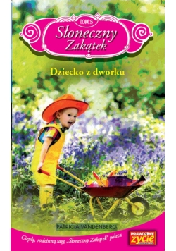 Słoneczny Zakątek Tom 3 Dziecko z dworku