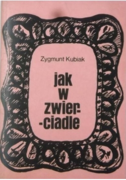 Jak w zwierciadle