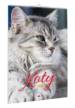 Kalendarz 2019 A3-13 Koty