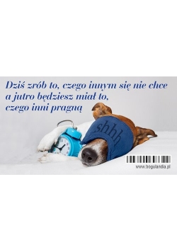 Magnes 10 na lodówkę Dziś zrób to, czego innym