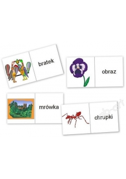 Domino logopedyczne wyrazowo - obrazkowe R