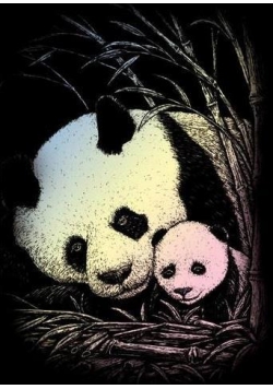 Wydrapywanka holograficzna mini Panda