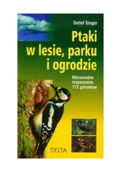 Ptaki w lesie parku i ogrodzie