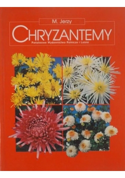 Chryzantemy
