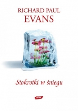Stokrotki w  śniegu