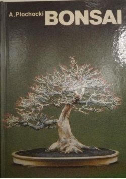 Bonsai sztuka miniaturyzacji drzew i krzewów