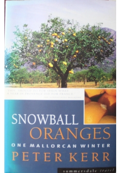 Snowball oranges one mallorcan winter