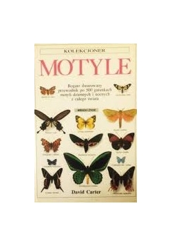 Kolekcjoner, Motyle
