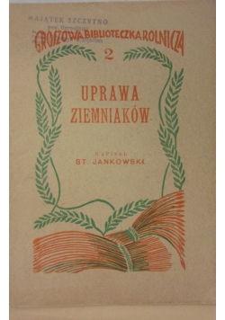 Uprawa ziemniaków, 1929 r.