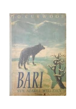 Bari. Syn szarej wilczycy