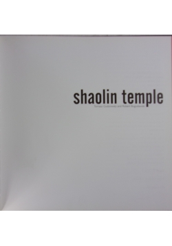 Shaolin temple