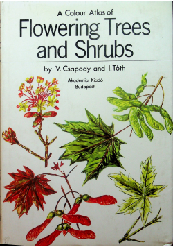 Flowering Trees and Shrubs