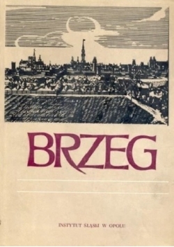 Brzeg dzieje gospodarka kultura