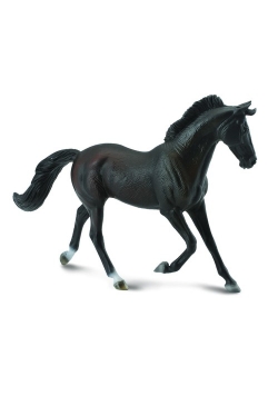Klacz Thoroughbred maści czarnej
