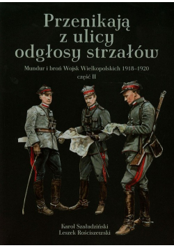 Przenikają z ulicy odgłosy strzałów