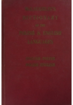 Polish-English Dictionary