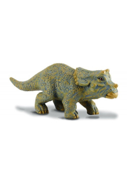 Dinozaur młody Triceratops