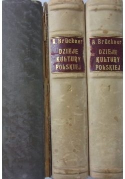 Dzieje kultury polskiej, 3 tomy, 1931 r.