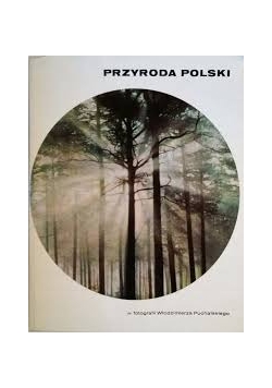 Przygoda Polski