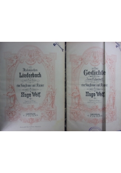 Gedichte/ Liederbuch