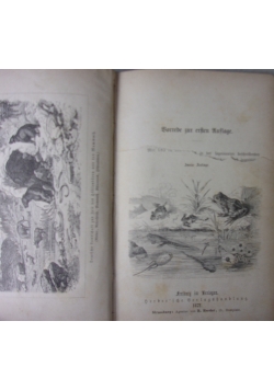 Zoologia, 1872 r.