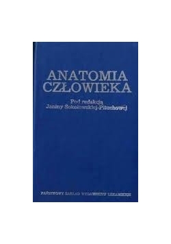 Anatomia człowieka