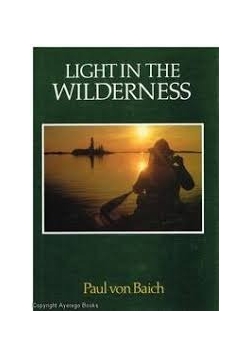 Light in the wilderness