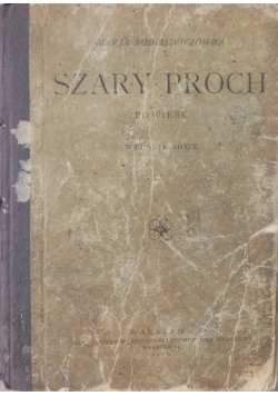 Szary proch, 1919 r.