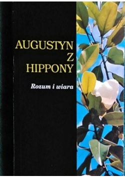 Augustyn z Hippony, Rozum i wiara