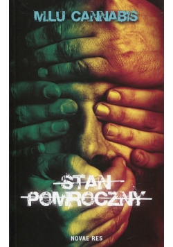 Stan pomroczny