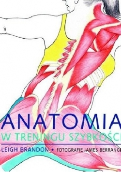 Anatomia w treningu szybkości
