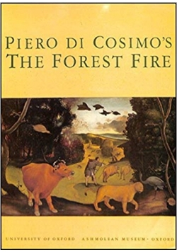 The forest fire