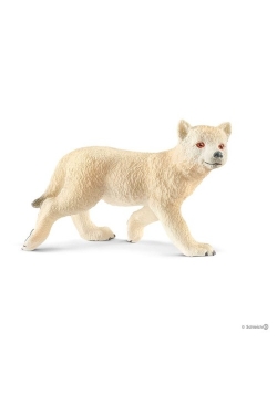 Wilk arktyczny młody