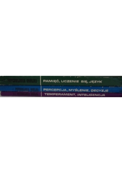 Pamięć uczenia się języka/ Percepcja myślenie decyzje/ Temperament inteligencja