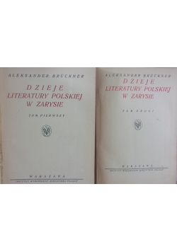 Dzieje literatury polskiej w zarysie, t. I-II,  1921 r.